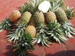 La sustancia es derivada del tallo de la piña. NTX / ARCHIVO