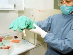 El proceso consiste en sintetizar las células y modificar su estructura para que sean más efectivas contra los tumores. NTX / ARCHIVO