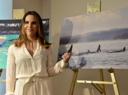 En un video Kate Del Castillo señala que 'Lolita' sufre en un pequeño tanque. EFE / G. Viera