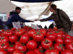 El valor de la canasta alimentaria rural también fue mayor al aumento que tuvo el salario mínimo en 2016. EFE / S. Suna