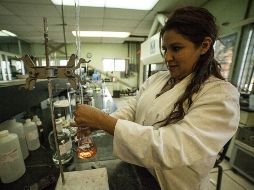 Se prevé que la industria de los prebióticos alcance los siete billones de dólares al 2022. EL INFORMADOR / ARCHIVO