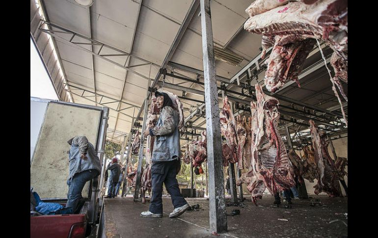 En el Rastro Municipal, la nómina asciende a 80 millones de pesos a sus 359 trabajadores. EL INFORMADOR / ARCHIVO