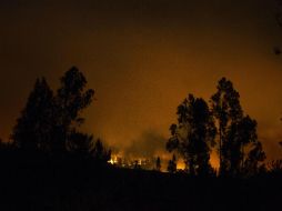 Entre el 1 de julio de 2015 y el 31 de junio de 2016 los incendios quemaron nueve mil 263 hectáreas. EFE / H. Scott