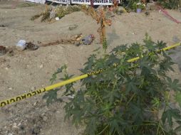 Algunas de las víctimas tenían reporte de desaparición desde 2010. SUN / ARCHIVO