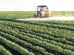 Las exportaciones de EU de alimentos manufacturados han tenido un sólido crecimiento en los últimos años. EL FINANCIERO  /