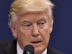 Donald Trump ha movilizado a muchas figuras de la política mexicana. AFP / M. Ngan