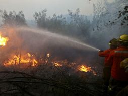 Participan más de cuatro mil 500 bomberos voluntarios y forestales, unos cuatro mil 600 militares, policías y funcionarios públicos. AP / E. Felix