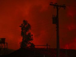 El incendio afectó alrededor de 379 mil hectáreas, informan autoridades. AP / E. Felix