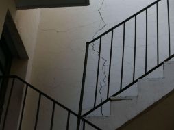 En los próximos días se visitarán las fincas con reportes para elaborar dictámenes y las acciones a seguir. EL INFORMADOR / R. Tamayo