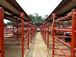 El aumento anual en el empleo fue impulsado principalmente por el sector agropecuario, destacan. EL INFORMADOR / ARCHIVO