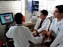 La negligencia veterinaria puede ser un mal diagnóstico o maltrato a las mascotas. NTX / ARCHIVO