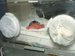 'Es importante estar al pendiente de los recién nacidos', advierten especialistas. EL INFORMADOR / ARCHIVO