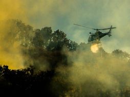 Calculan cerca de 300 hectáreas de arbustos y maleza se vieron afectadas por el percance. ESPECIAL /