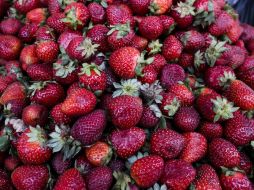 Las moras y fresas se ubican como las frutas más eróticas. EL INFORMADOR / ARCHIVO