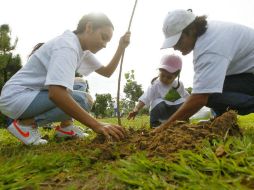 Más de 200 empresas han colaborado con Extra A.C. para reforestar áreas de la ciudad. EL INFORMADOR / A. Camacho