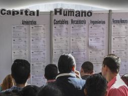 Se tiene programado que 10 por ciento de las vacantes, es decir, alrededor de 100 plazas, sea incluyente. EL INFORMADOR / ARCHIVO