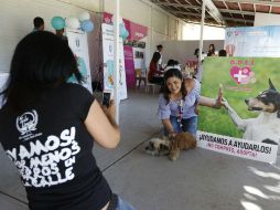 Las mascotas no son bebés ni juguetes, sino un integrante más de la familia. NTX /