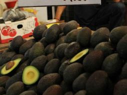 El aguacate se encontró en 40 pesos el kilogramo en los mercados tapatíos. EL INFORMADOR / ARCHIVO