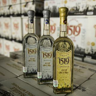 Incertidumbre por supuesta escasez de agave encarece producto: CNIT