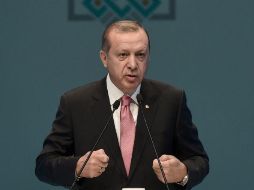 Erdogan se pronuncia contra Alemania luego de que ésta ha prohibido a varios ministros turcos emitir discursos a favor de reformas. AFP / O. Kose