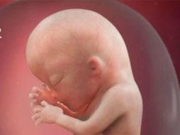 Médicos corrigieron la espina bífida de tres bebés con una cirugía fetal. TWITTER / @UNAM_MX