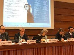 Lomónaco llama al comisionado de DH de la ONU a poner especial atención  a la estigmatización en ciertas regiones. TWITTER / @MisionMexOI