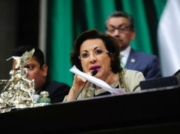 María Guadalupe Murguía afirmó que el dictamen debe precisarse en cuanto a redacción técnica. TWITTER /  @Mx_Diputados