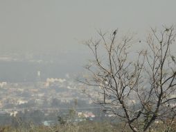 En 2016, Medellín se declaró en alerta ambiental por un aumento de partículas contaminantes inferiores a las 10 y 2.5 micras. EL INFORMADOR / ARCHIVO