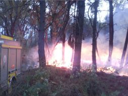 En la atención del incendio participan bomberos de la Ciudad de México, combatientes de la Probosque y miembros de la Conafor. TWITTER / @CONAFOR