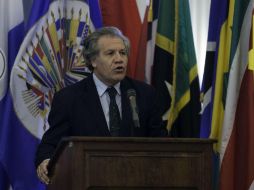 La OEA convocó a sesión extraordinaria apenas horas después que 14 de sus estados pidieron a Venezuela liberar a presos políticos. EFE / J. Herrera