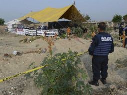 Los 45 cadáveres fueron localizados en 39 bolsas lo que representó otra anomalía ya que el reporte era de 35. SUN / ARCHIVO