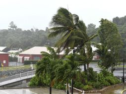 Palmeras se vencen por la fuerza del viento mientras el ciclón 'Debbie' se aproxima a Queensland. EFE / D. Peled