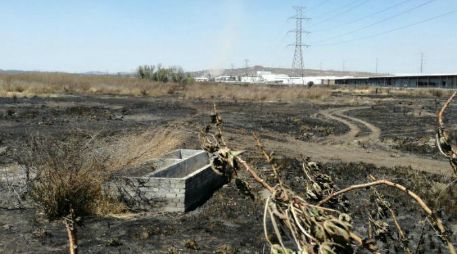 El cadáver fue localizado en un predio ubicado a la altura del Periférico Nuevo y la Calle Las Vías. ESPECIAL /