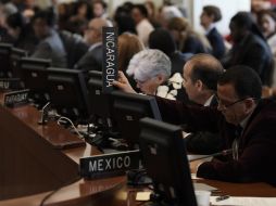 El debate de la OEA duró por más de cuatro horas. EFE / L. Nolly