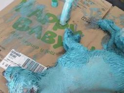 A través de la plataforma Change.org se lanzó la solicitud para pedirle al gobierno de Michoacán que interviniera de inmediato. ESPECIAL / www.change.org