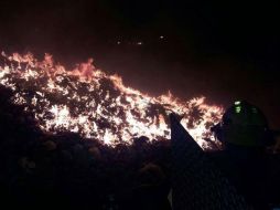 Bomberos y Protección Civil de Tala, trabajan en coordinación con elementos de Guadalajara, Zapopan y Jalisco. ESPECIAL /