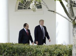 Trump se reúne con Al Sisi en el Despacho Oval y remarca ante periodistas que juntos van a luchar contra el terrorismo. EFE / O. Douliery