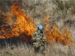 El incendio consumió mil hectáreas, de las cuales 600 fueron en zona forestal de encino y matorrales. SUN / J. Mendoza