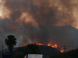 El incendio en el Tepopote habría sido provocado con intereses inmobiliarios. EL INFORMADOR / ARCHIVO