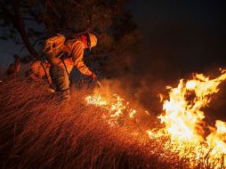 Hubo 103 combatientes de distintas dependencias en el cerro de El Colli y de 100 en el cerro de La Bandera. EL INFORMADOR / ARCHIVO