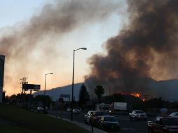 El incendio en el cerro del Tepopote afectó alrededor de mil 225 hectáreas afectadas. EL INFORMADOR / ARCHIVO