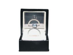 La exhibición de 'The Proposal'' avivará la polémica sobre si fue ético o no que se tomara parte de las cenizas del arquitecto.  /