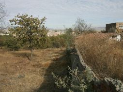 Según el comité, el juez estableció una suspensión definitiva para que no se hagan modificaciones en el Bosque Nixticuil. EL INFORMADOR / ARCHIVO