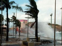 Se estima que el cruce de 'Cook' por la Isla norte durará unas 12 horas. AFP / ARCHIVO