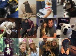 Unos perros cuando llegan a Canadá ya tienen lugar y otros deben estar en casas temporalmente mientras los promueven en un sitio web. FACEBOOK / Backstreet dogs Mexico