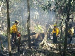El municipio con la superficie más afectada por estos sucesos es Bacalar con mil 652 hectáreas de vegetación. TWITTER / @CONAFOR