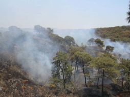 El fuego se presentó cerca de las 13:00 horas en terrenos cercanos a Pinar de la Venta. ESPECIAL /