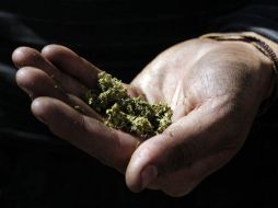 El local deberá apegarse a las regulaciones que rigen a todos los establecimientos de venta de mariguana. EL INFORMADOR / ARCHIVO