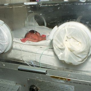 Recomiendan diagnosticar la hemofilia desde la infancia