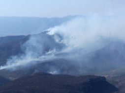 Uno de los efectos de la pérdida de árboles adultos es la disminución de la lluvia. NTX / ARCHIVO